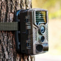 Meža fotokameras